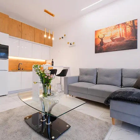 Apartament Perlowy Wellness - Laguna Beskidow Bierna Exterior photo