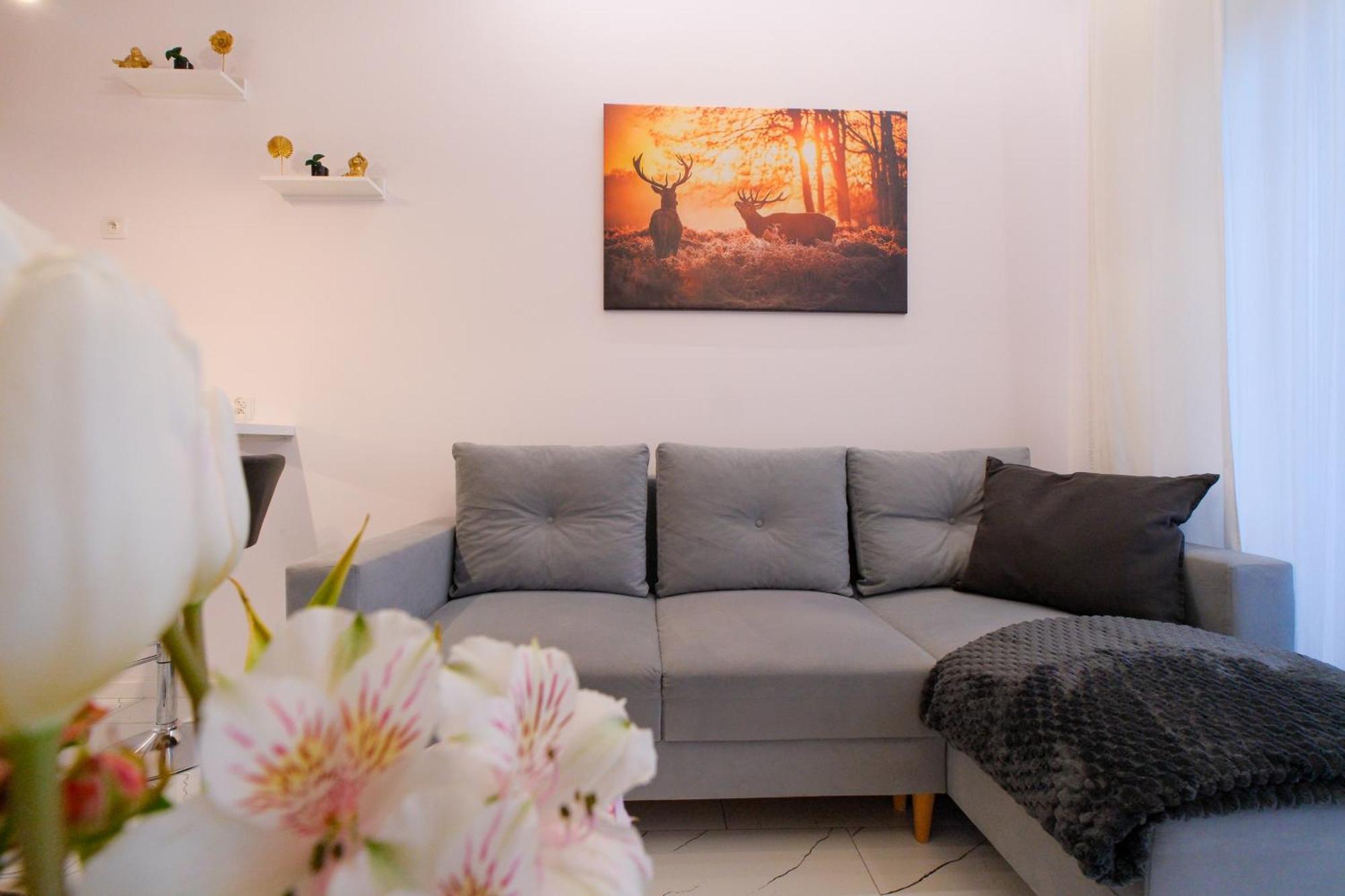 Apartment Perlowy Wellness - Laguna Beskidow Bierna